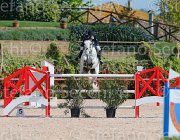 CHIAUDANI AMERICAN BLUE CampITA2013- S5 9075 : AMERICAN BLUE VAN EEKLELCHEM, CHIAUDANI NATALE, Campionati Italiani 2013, Cattolica, Horse Riviera Resort, foto di Stefano Secchi ©